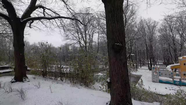 在冬天，下雪的天气下在公园里徒步旅行视频下载