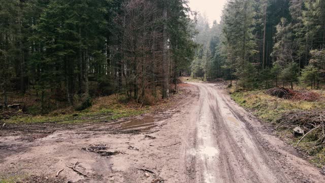 在泥泞的道路上穿过森林在秋天视频素材