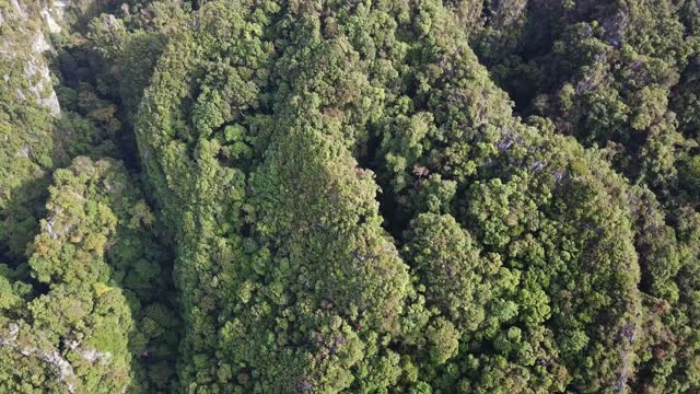 鸟瞰泰国的山脉视频素材