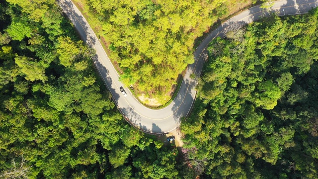 蜿蜒穿过森林的道路鸟瞰图视频素材