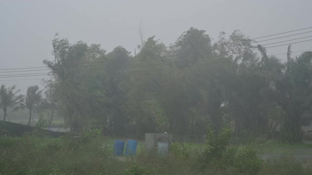 风暴正在袭击森林，泰国正在下大雨。洛坤府视频素材