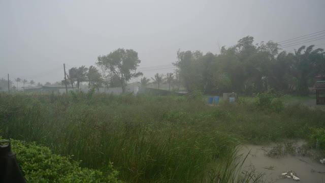 风暴正在袭击森林，泰国正在下大雨。洛坤府视频素材