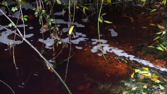 在处理厂出口处被废水污染的河流。视频素材