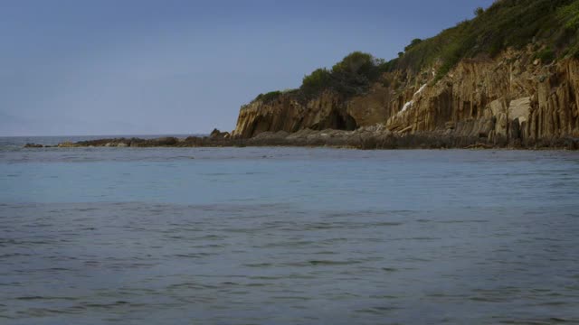 法国，海滩和浮木的景色视频素材