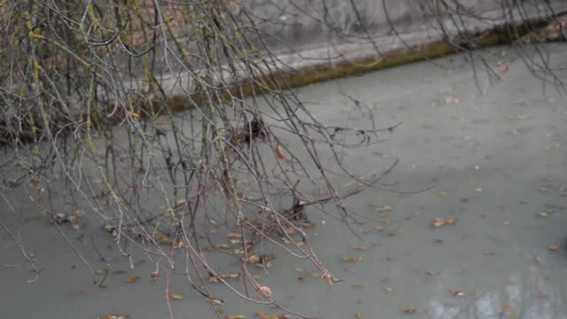 汽车用橡胶污染了河道，乌克兰城市污染了运河的饮用水视频下载