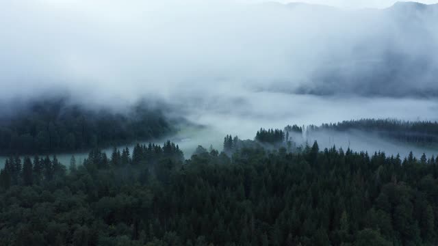 鸟瞰图的雾景观与森林和草地，秋天的早晨。上巴伐利亚，坏Tölz - Wolfratshausen，巴伐利亚阿尔卑斯山，巴伐利亚，德国。视频素材