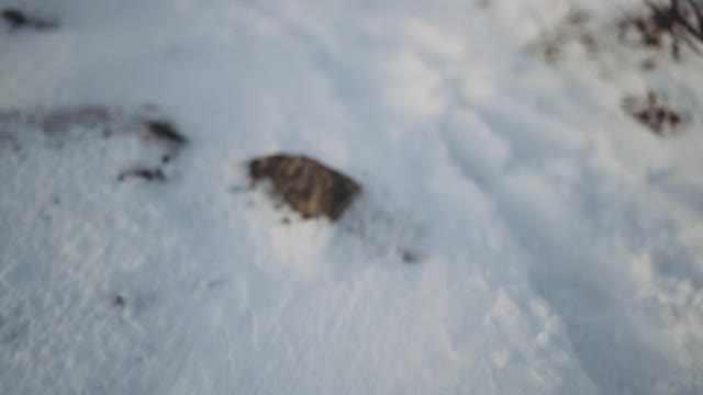 穿着登山装备的人站在白雪覆盖的山顶上视频素材