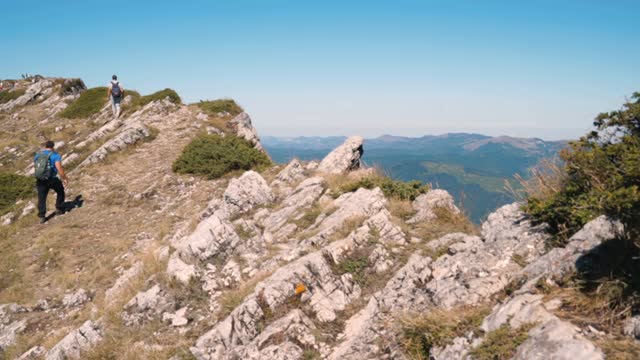 在保加利亚徒步旅行匈牙利Vizsla狗在山顶在阳光明媚的一天视频素材