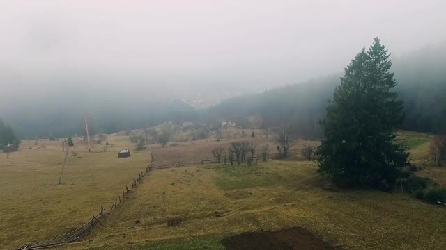 农场草地下的雾视频素材