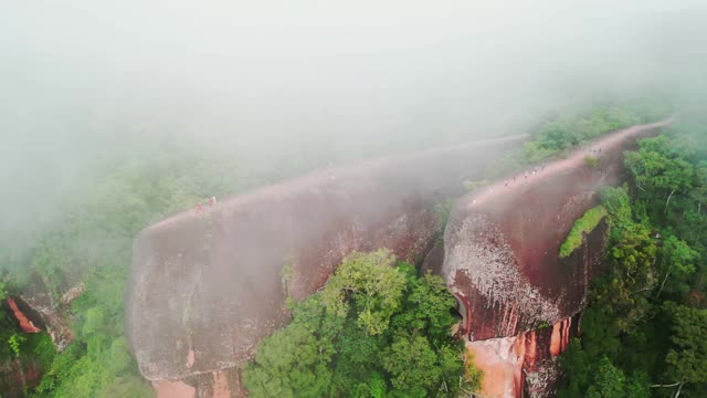 三石鲸(欣山姆鲸)视频素材