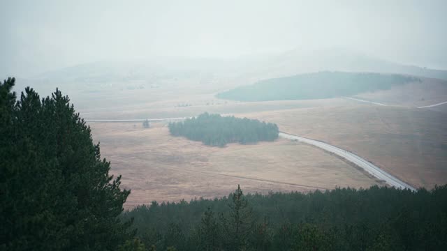 鸟瞰山峦和松林在雾中的壮丽景观视频素材