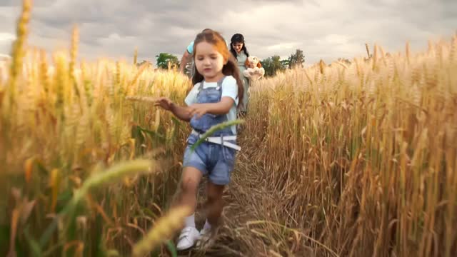 小女孩在夏天的麦田里跑步，她的父母和弟弟就在她后面视频素材