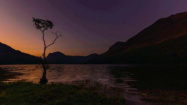 黎明的孤树Buttermere。视频素材