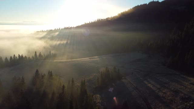 在山上的森林上空喷射出雾来。阳光穿过树林。高地上的黎明。空中拍摄视频素材