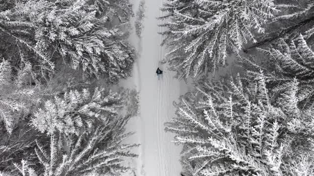 一名滑雪者正穿越卡科诺斯山上被雪覆盖的树木视频下载