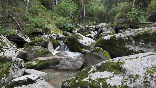 俄罗斯阿尔泰地区别洛库里哈市度假胜地的夏日别洛库里哈河视频素材