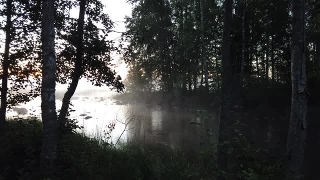 晨雾上河，苏美涅米芬兰视频素材