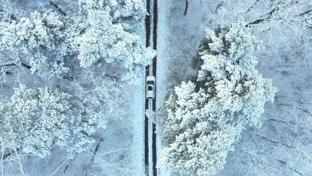 汽车通过积雪的森林小径移动的观点视频素材