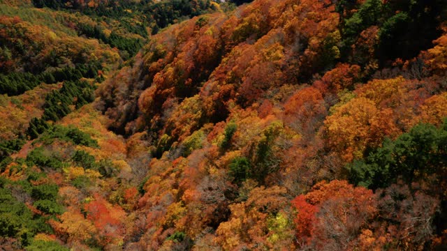 富士山和正二湖视频素材