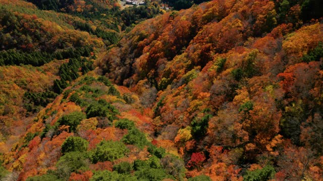 富士山和正二湖视频素材