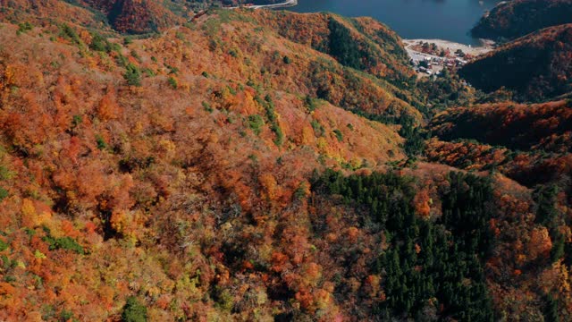 富士山和正二湖视频素材