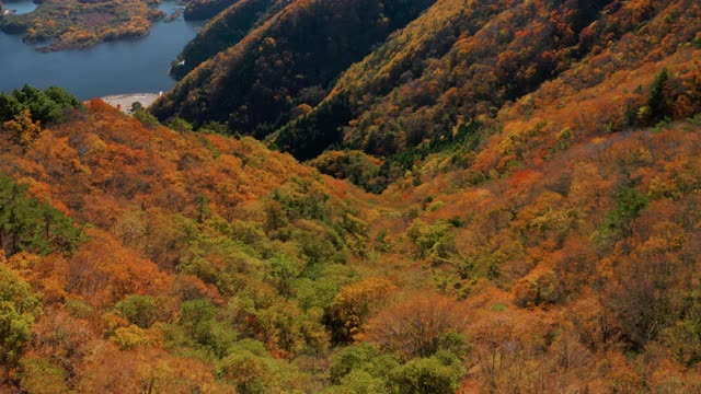 富士山和正二湖视频素材