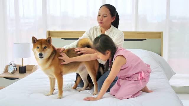 母亲和小女儿与他们的狗花时间一起在家里。视频素材