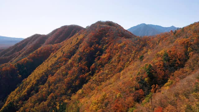 富士山和正二湖视频素材