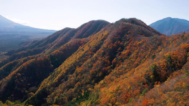 富士山和正二湖视频素材