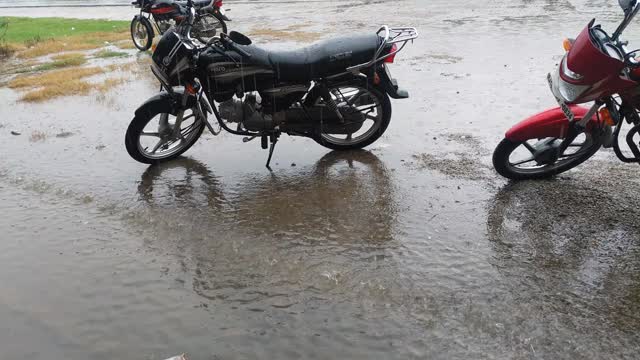 秋雨滴景，落在柏油路上。由于大雨淹没了道路。视频素材