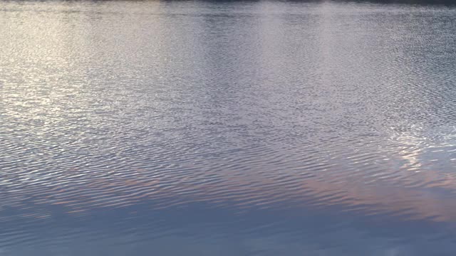 风吹过湖面视频素材