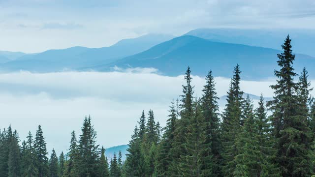 雨时，白云在山间秋山森林中缓缓移动。宁静的景色常绿松林在山上在雾。风景优美、美丽神秘。4 k。视频素材