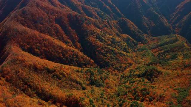 富士山和正二湖视频素材