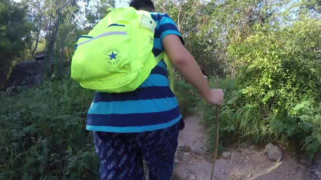 快乐的亚洲背包客孩子们一起漫步在雨林中，生活理念。视频素材