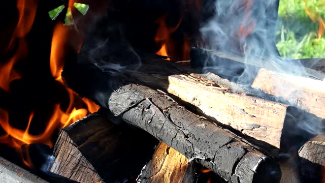 柴火在烤架上燃烧着，熊熊燃烧的篝火在炎热的夏天燃烧着木头视频素材