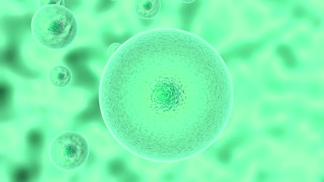 感染病原微生物活细胞过程的三维动画。病原微生物在活细胞内分裂，然后溶解细胞壁。视频素材