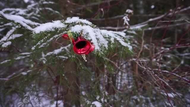 圣诞玩具在雪树上视频下载