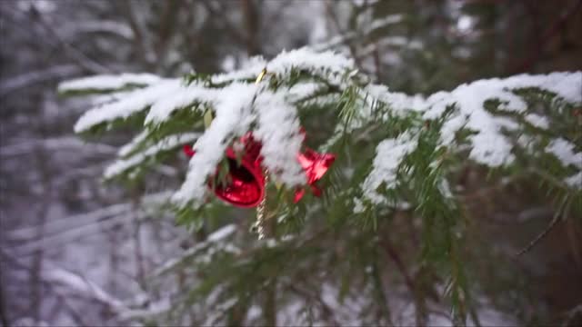 圣诞玩具在雪树上视频下载