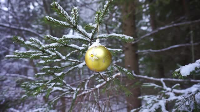 圣诞玩具在雪树上视频下载