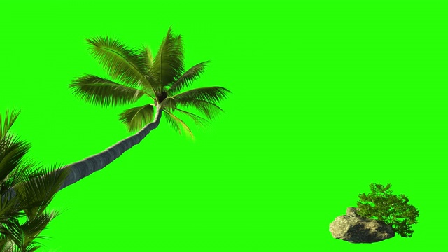 棕榈树和草丛，绿色背景上有一块石头。3d动画的关键手掌附近的海。视频素材