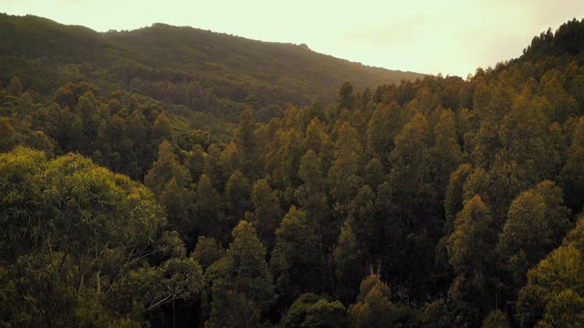 辛特拉山上一个湖的航拍镜头。视频素材