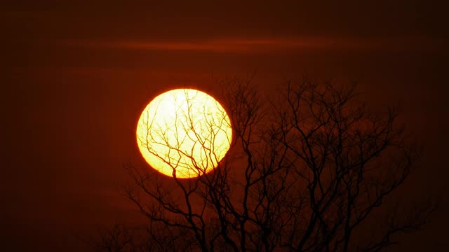 夕阳下的田园风光，时光流逝。视频素材