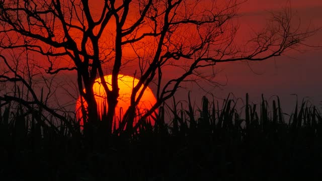 夕阳下的田园风光，时光流逝。视频素材