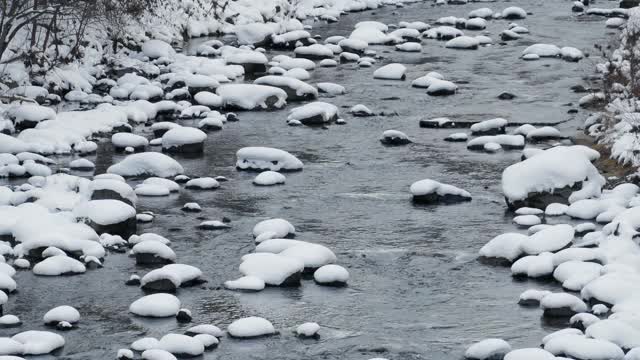 北海道森林小溪降雪视频素材