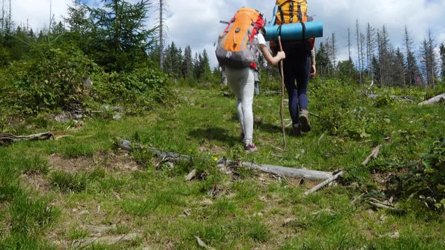 活跃的家庭妈妈和女儿在山上徒步旅行视频素材