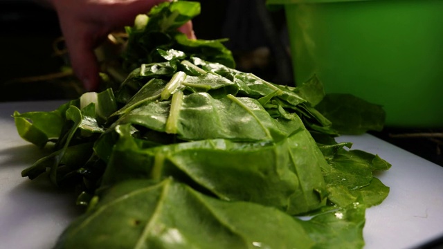 新鲜的甜菜根绿色健康的绿色食物蔬菜和蔬菜准备在热水中煮视频素材