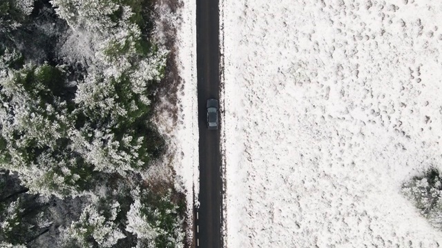 鸟瞰图覆盖的树木在森林和冬天的乡村道路与一辆汽车。高质量4k镜头视频素材