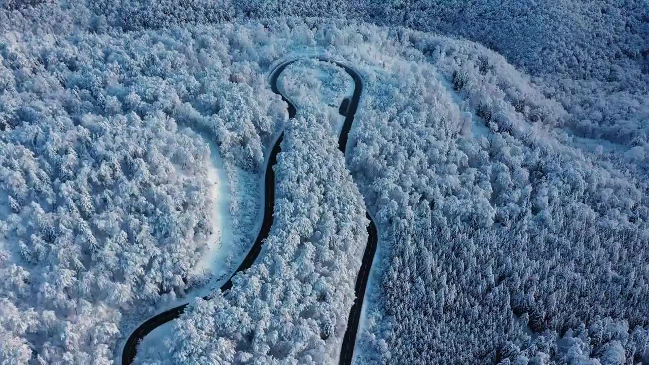 无人机拍摄的白雪覆盖的森林中的一个山口。视频素材