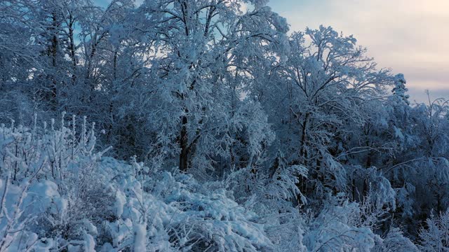 无人机拍摄的白雪覆盖的森林。视频素材