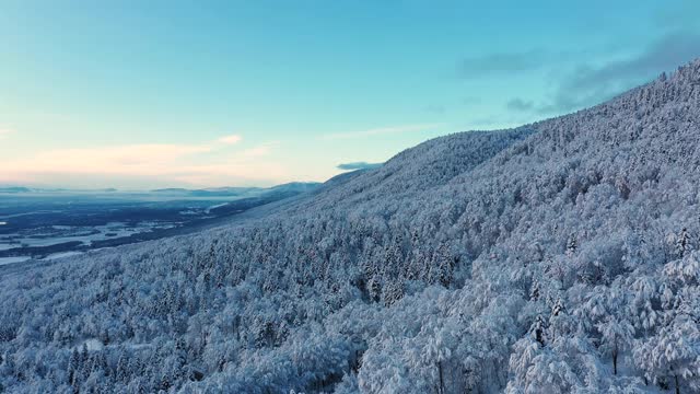 无人机拍摄的白雪覆盖的森林。视频素材